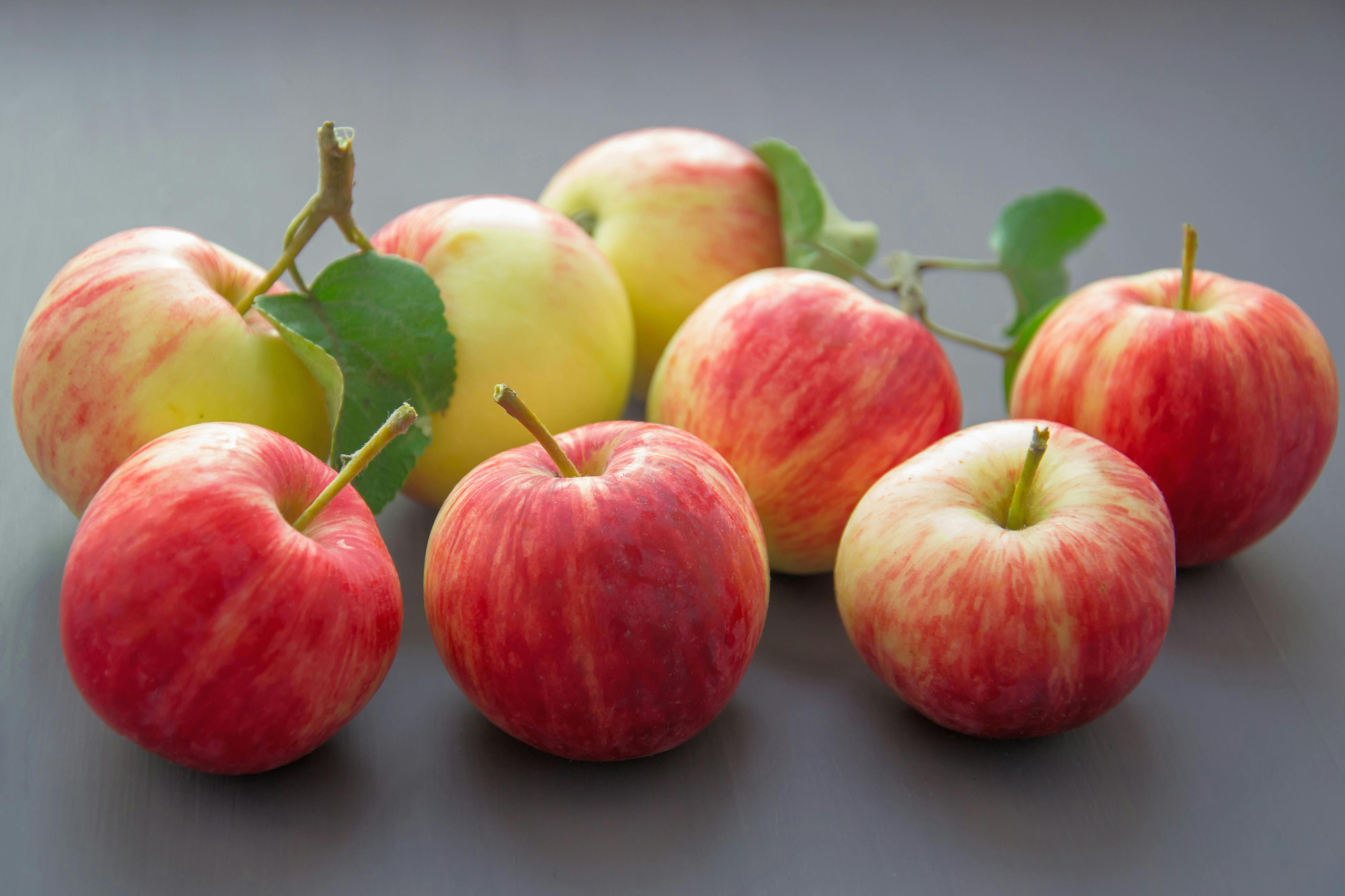 American Apple Variety